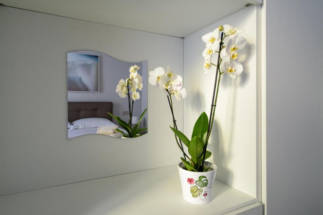 Pisa Art Apartment Dış mekan fotoğraf