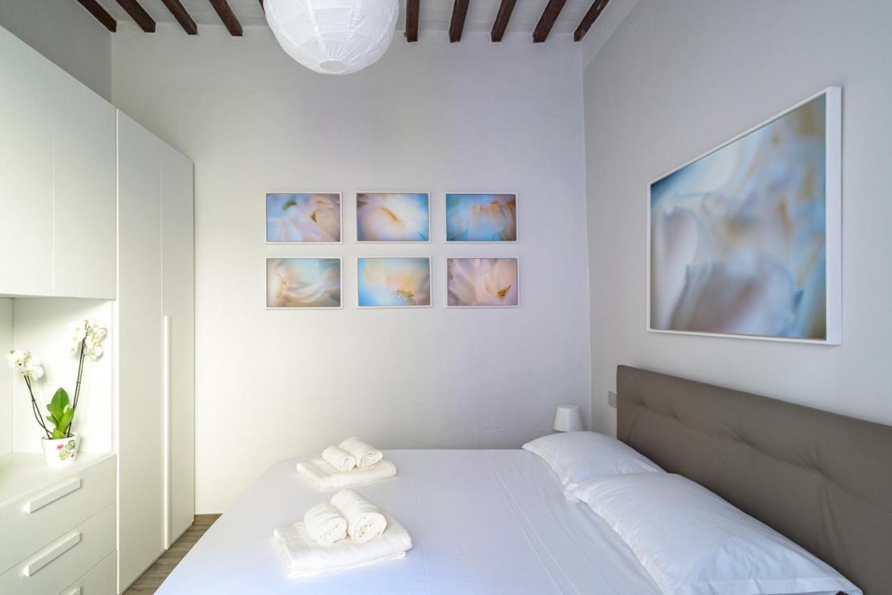 Pisa Art Apartment Dış mekan fotoğraf