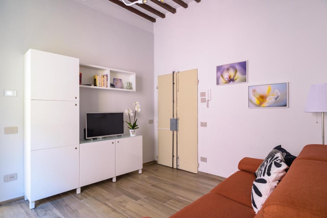 Pisa Art Apartment Dış mekan fotoğraf