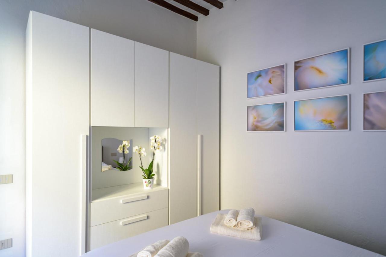 Pisa Art Apartment Dış mekan fotoğraf